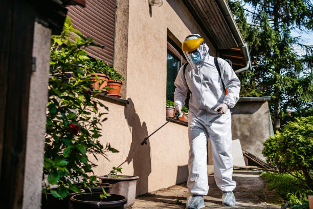 Best Affordable Pest Control Services  in Fort Valley, AZ