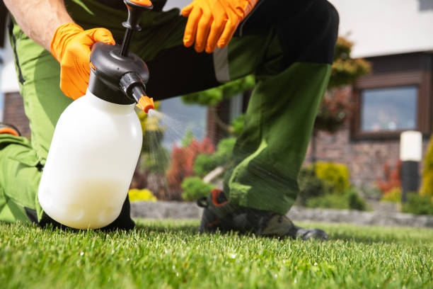 Best Pest Removal Services  in Fort Valley, AZ