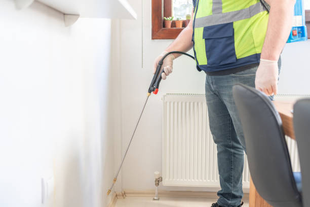 Best Termite Control Services  in Fort Valley, AZ