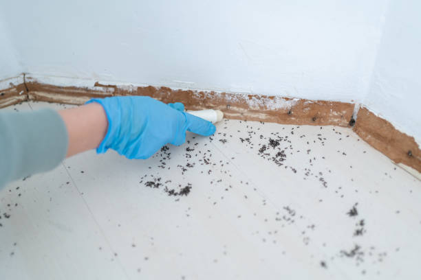 Wildlife Control Services in Fort Valley, AZ